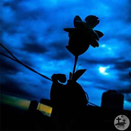 دانلود آهنگ عطر پونه امید غلامپور